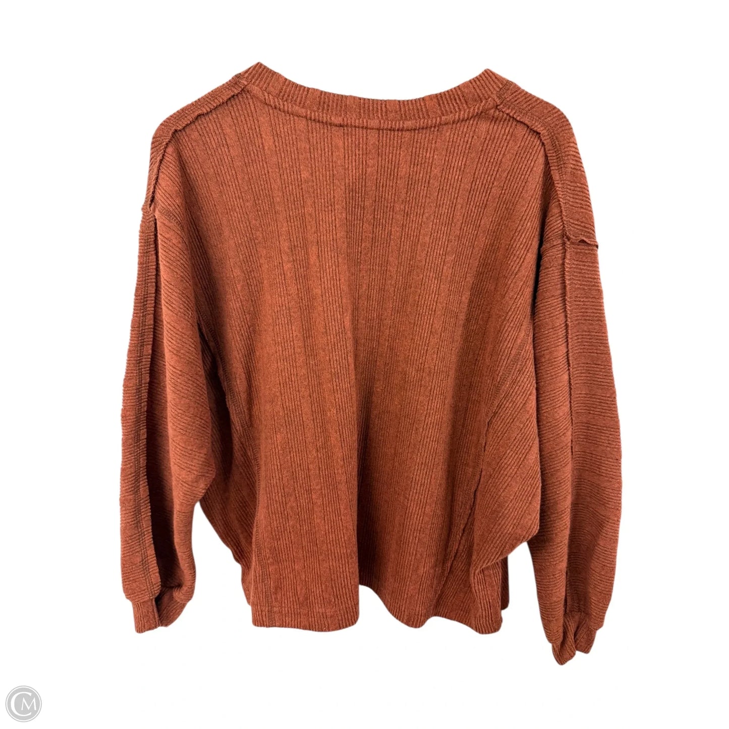 Top Long Sleeve By Blu Pepper In Brown, Size: L