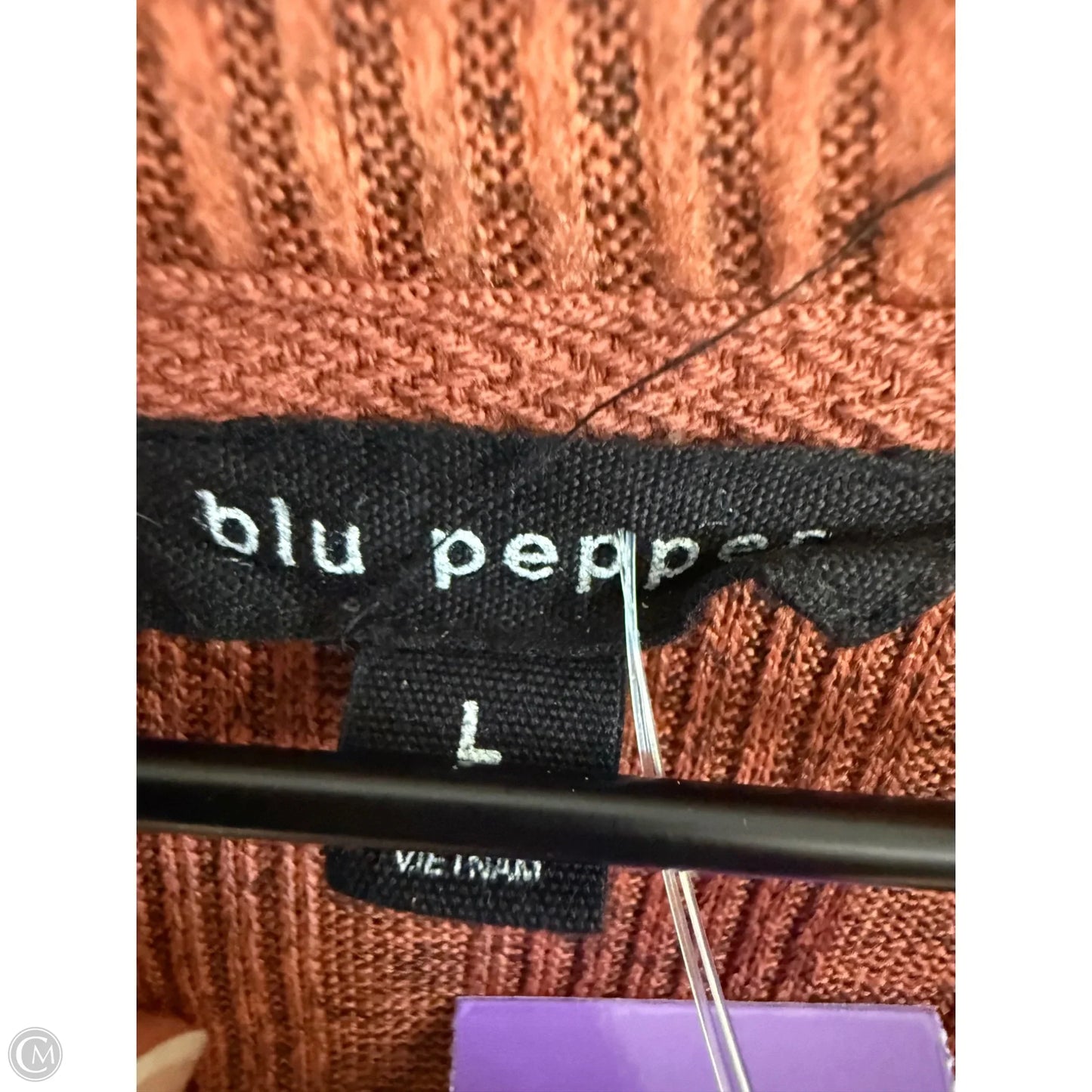 Top Long Sleeve By Blu Pepper In Brown, Size: L