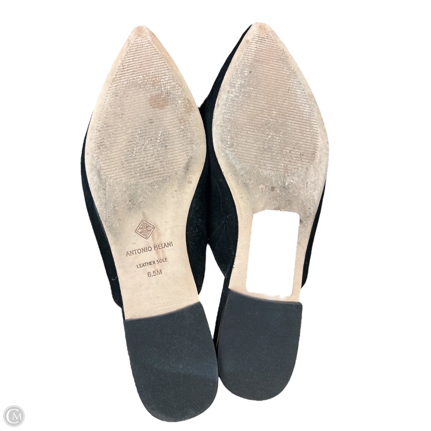 Shoes Flats By Antonio Melani In Black, Size: 8.5