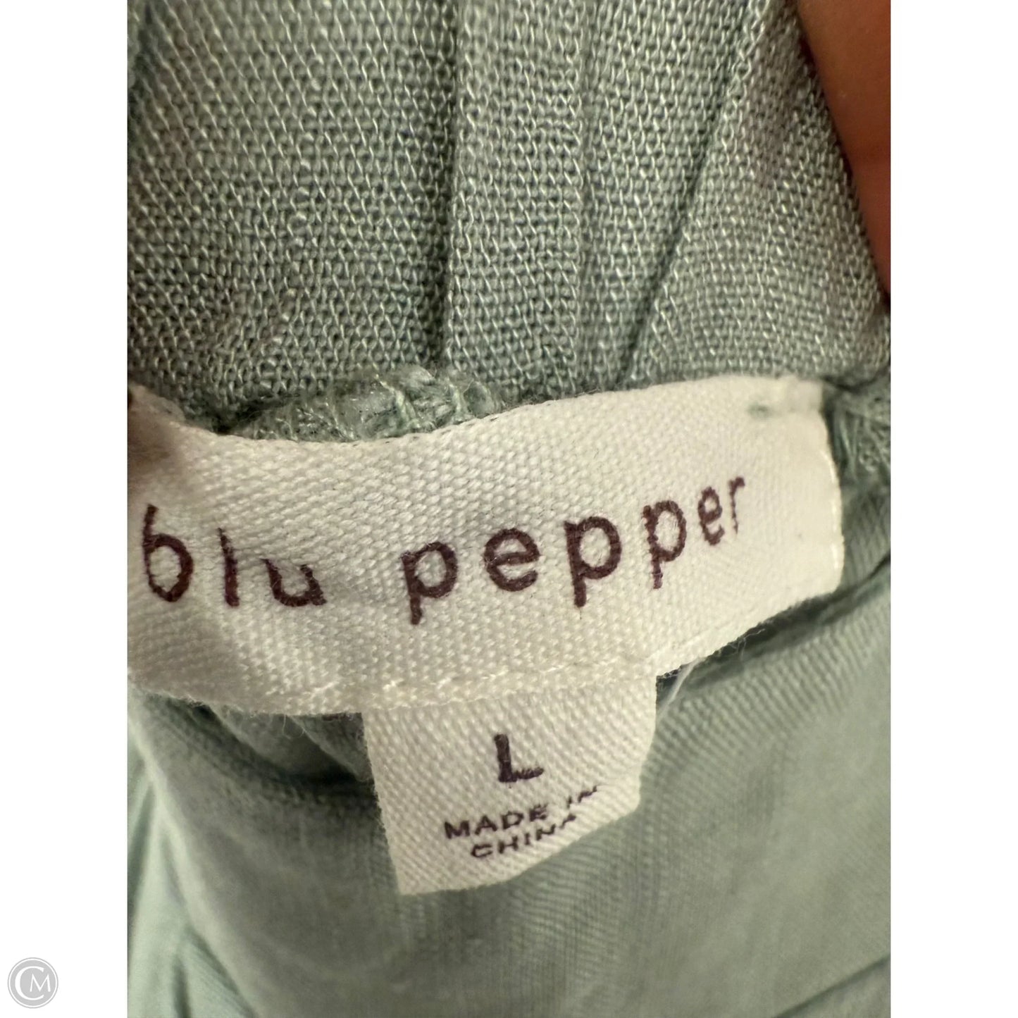 Skirt Maxi By Blu Pepper In Green, Size: L
