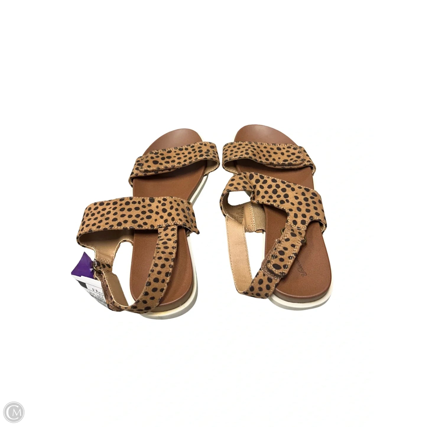 Shoes Sneakers Platform By Blowfish In Cream, Size: 7
