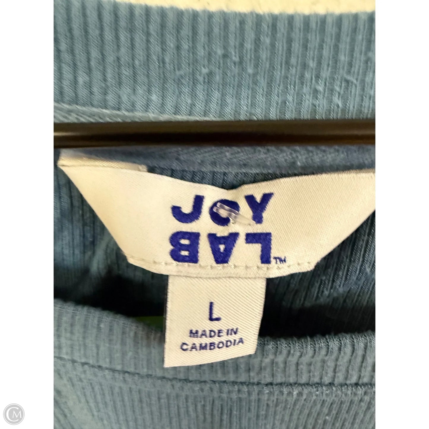 Athletic Top Long Sleeve Crewneck By Joy Lab In Blue, Size: L