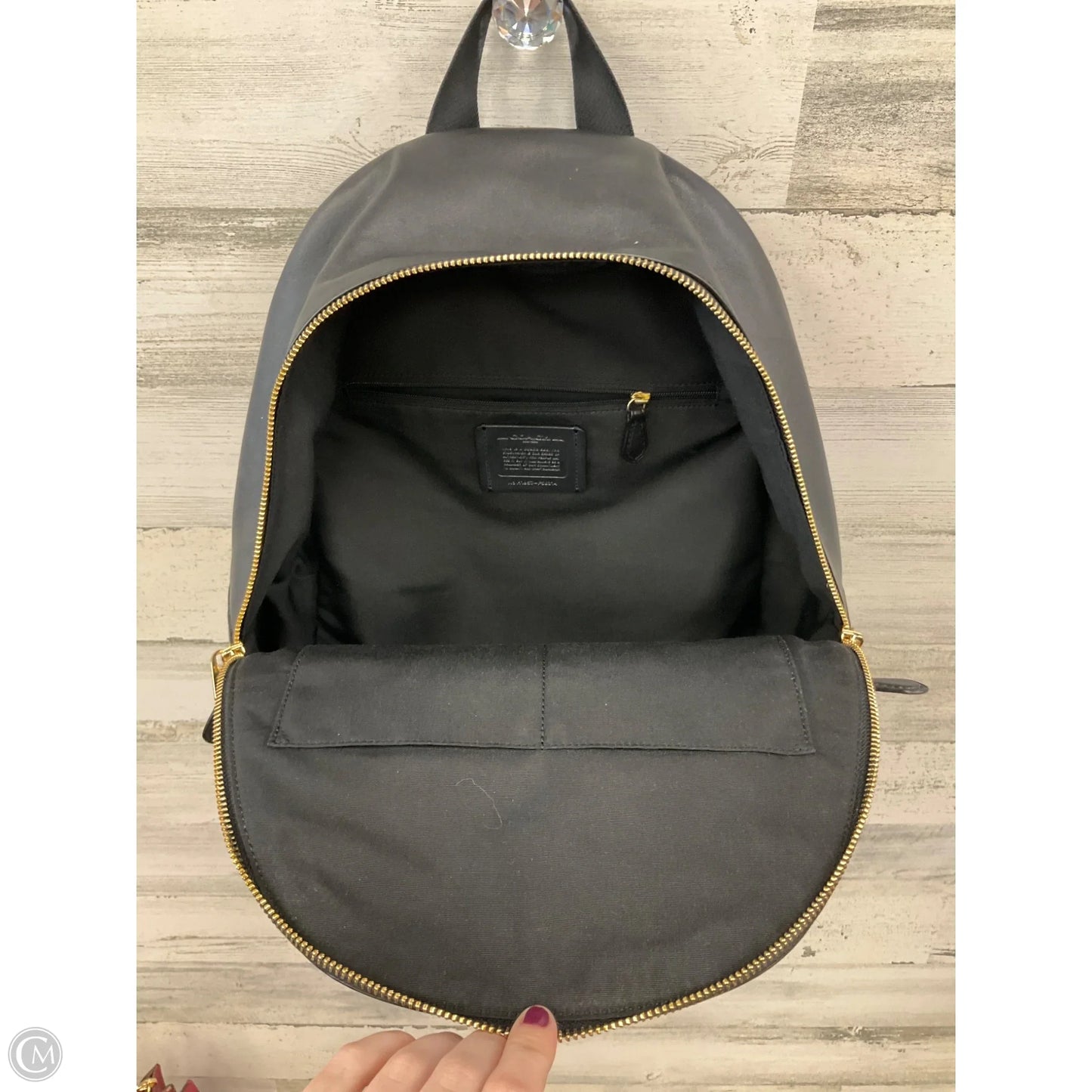 Backpack Designer By Coach, Size: Large