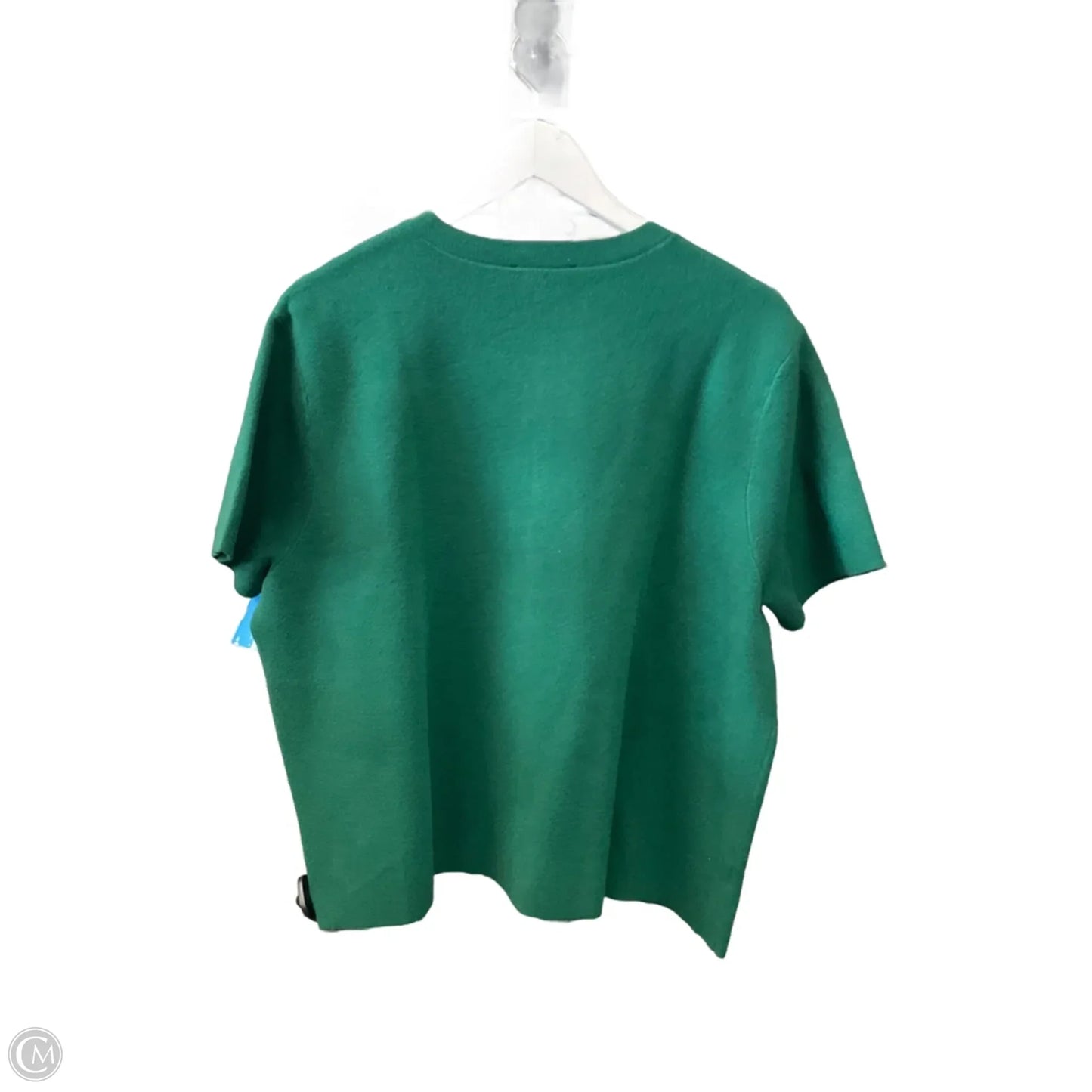Sweater Short Sleeve By Ann Taylor In Green, Size: Xxl
