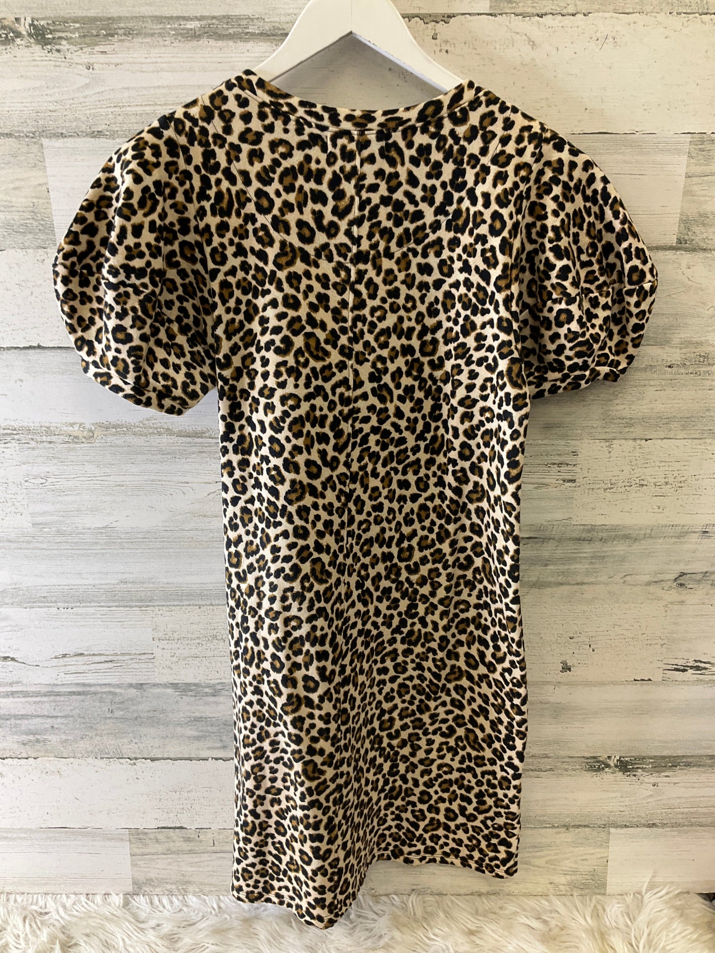 Dress Casual Short By Velvet By Graham & Spencer In Animal Print, Size: S