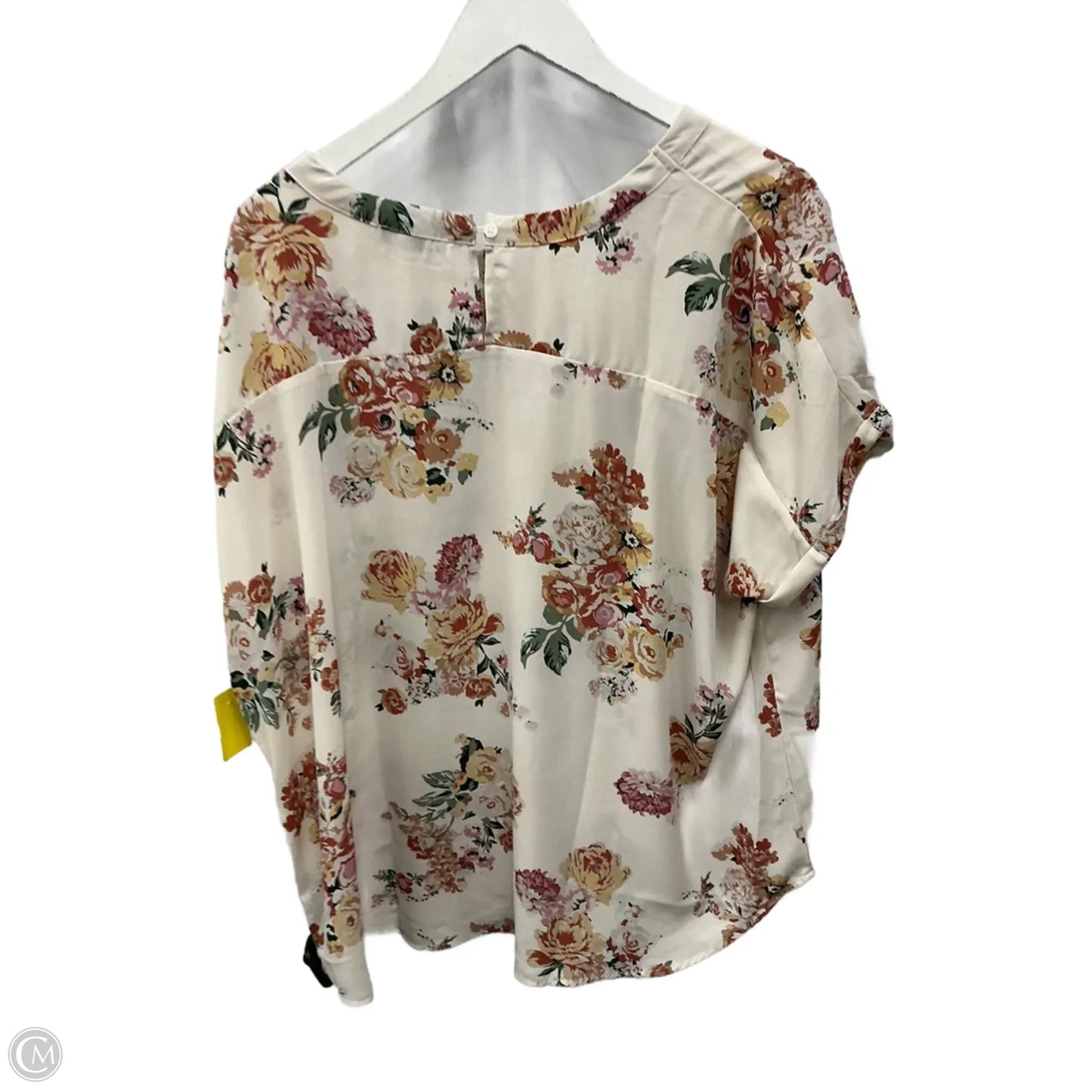 Top Short Sleeve By Buffalo David Bitton In Cream, Size: Xxl