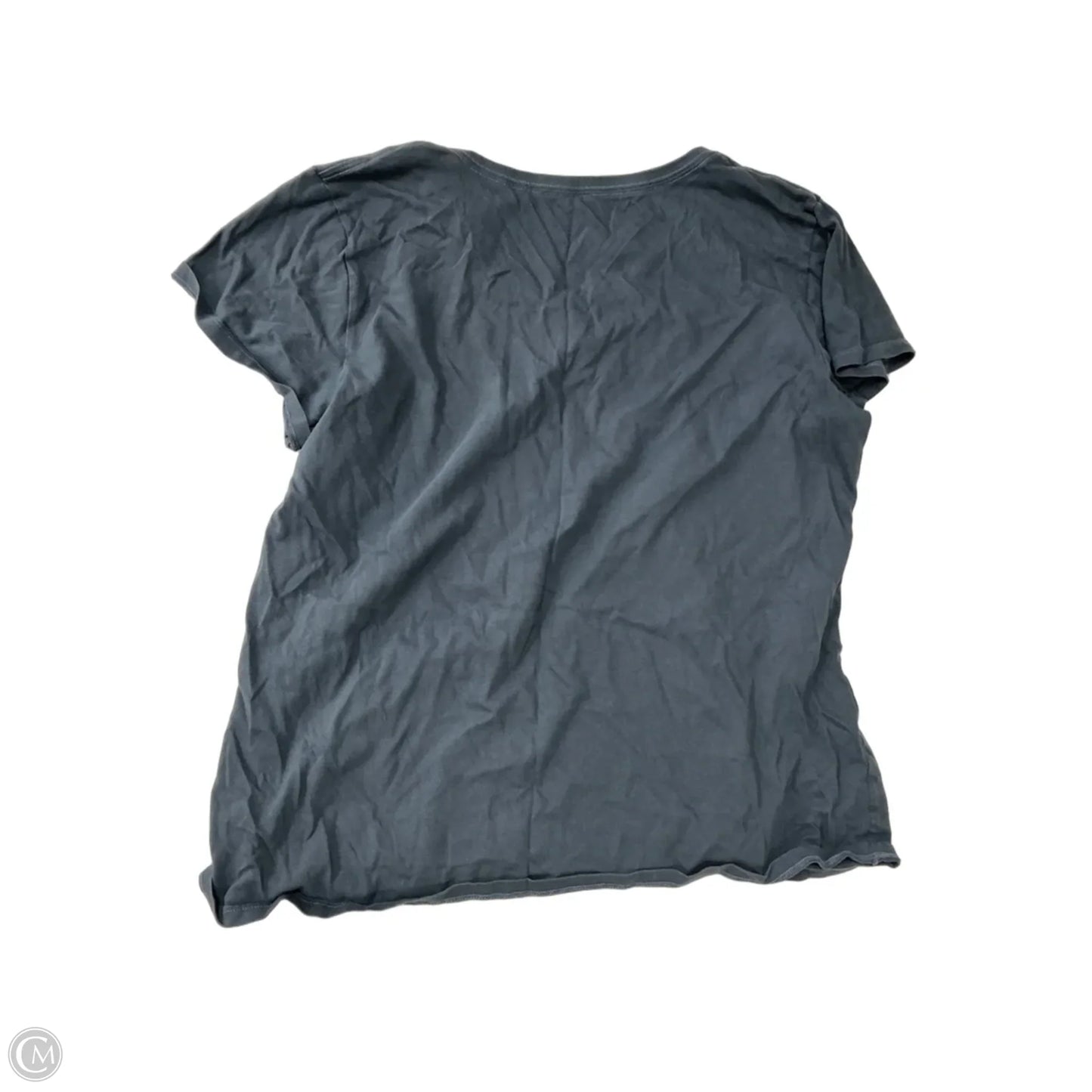 Top Short Sleeve By Life Is Good In Blue, Size: Xl