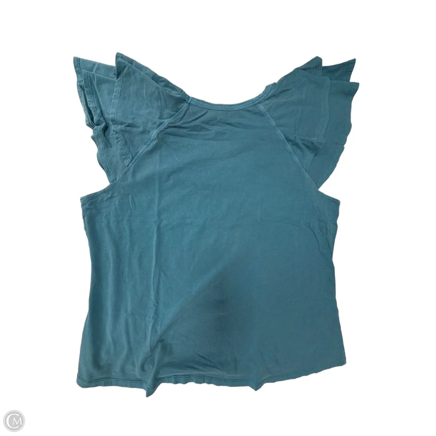 Top Short Sleeve By Time And Tru In Blue, Size: 1x