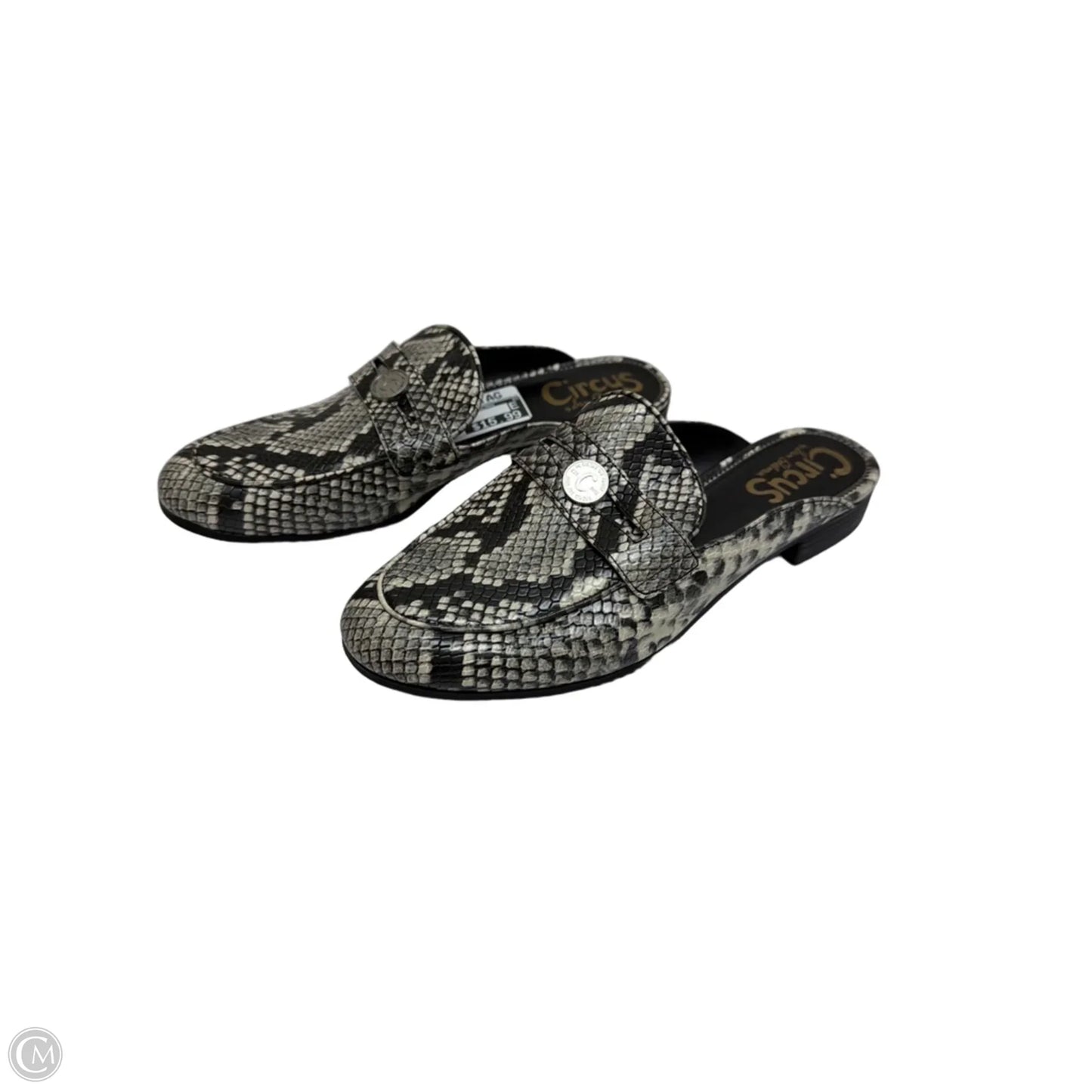 Shoes Flats By Circus By Sam Edelman In Snakeskin Print, Size: 8.5