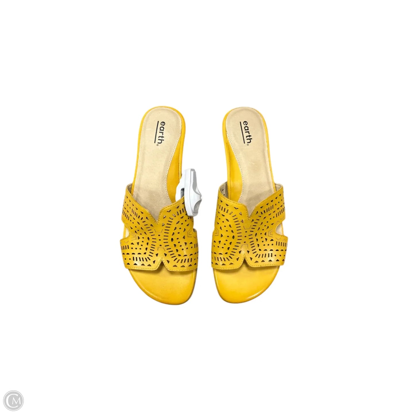 Sandals Flats By Earth In Yellow, Size: 9.5