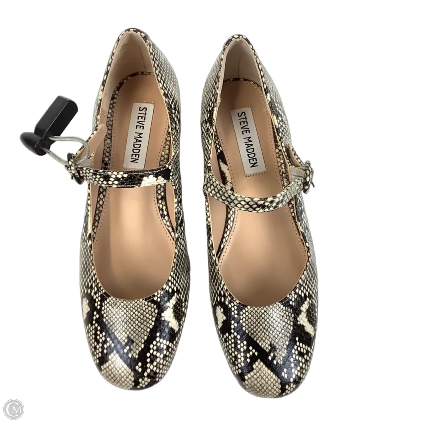 Shoes Heels Block By Steve Madden In Snakeskin Print, Size: 6