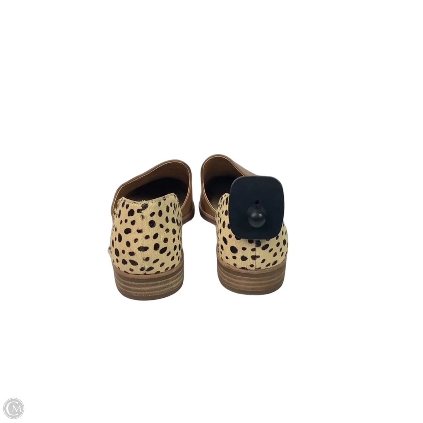 Shoes Flats By Dolce Vita In Tan, Size: 6