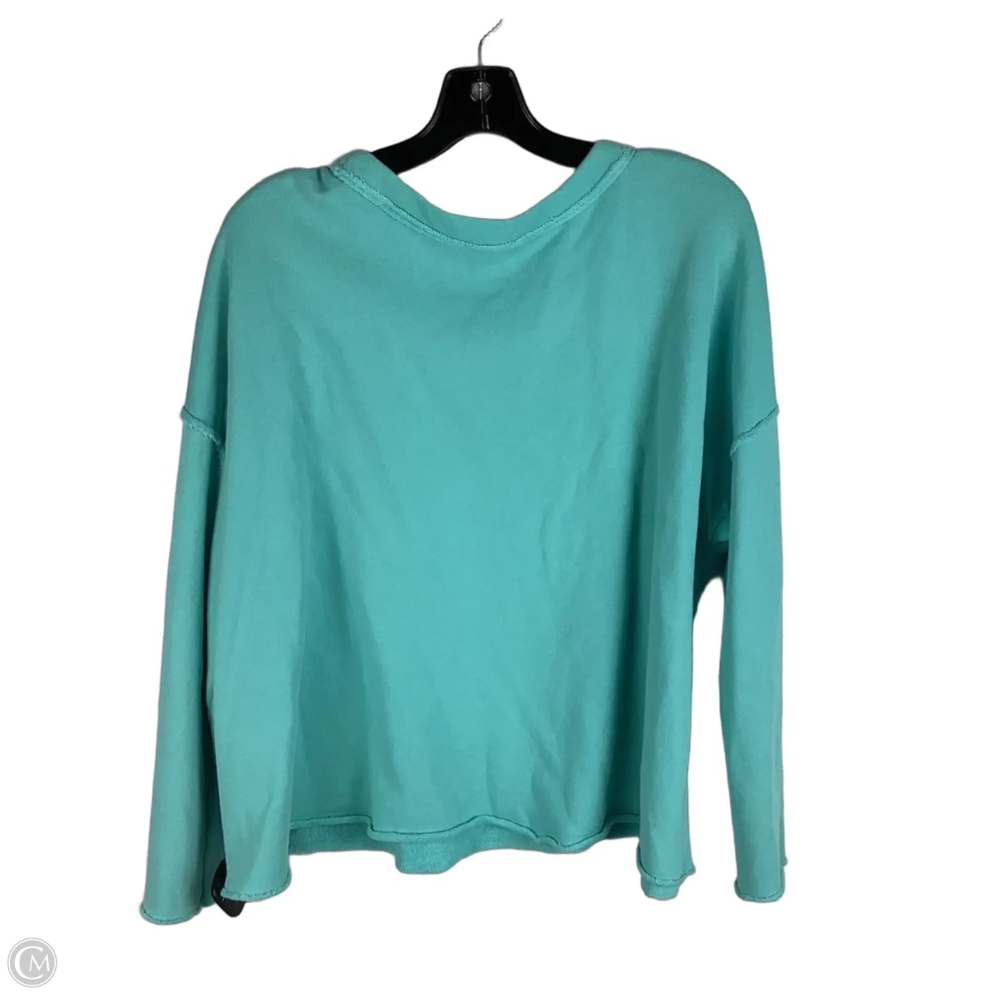 Sweatshirt Crewneck By Eileen Fisher In Blue, Size: Xl