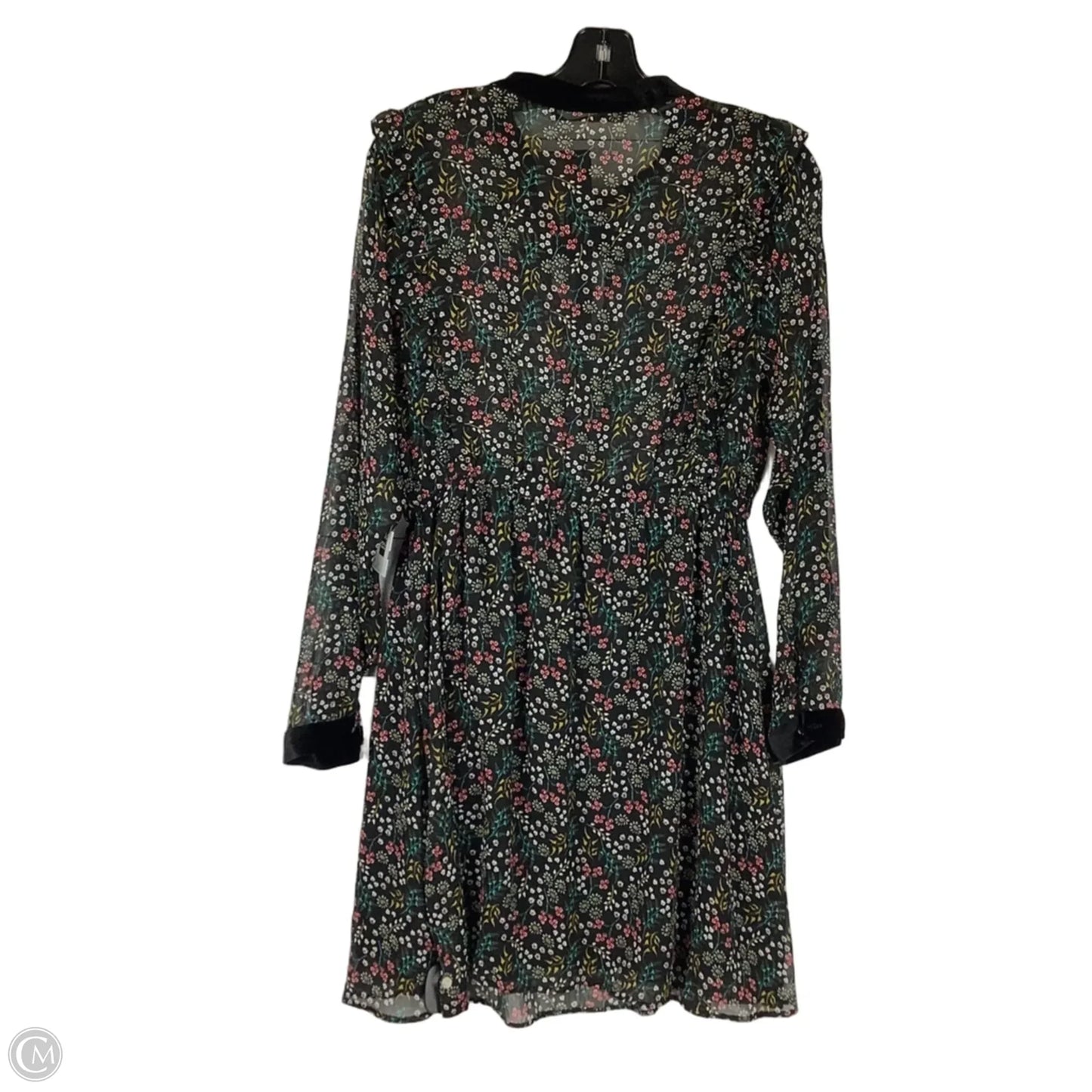 Dress Casual Short By Zara In Floral Print, Size: L