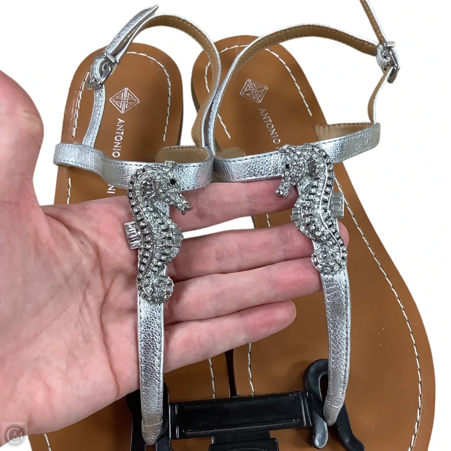 Sandals Flats By Antonio Melani In Silver, Size: 8