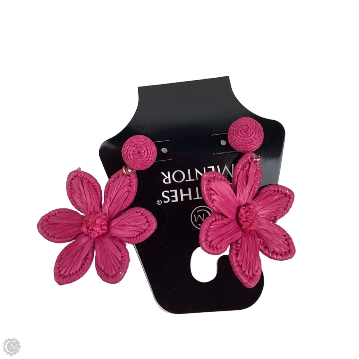 Earrings Dangle/drop By Clothes Mentor