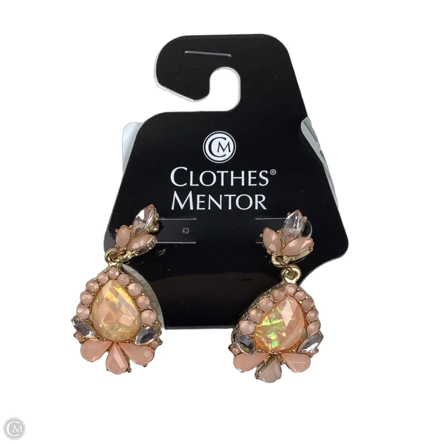 Earrings Dangle/drop By Clothes Mentor
