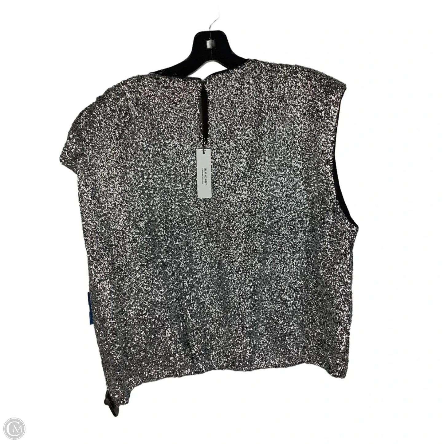 Top Sleeveless By Express In Silver, Size: Xl