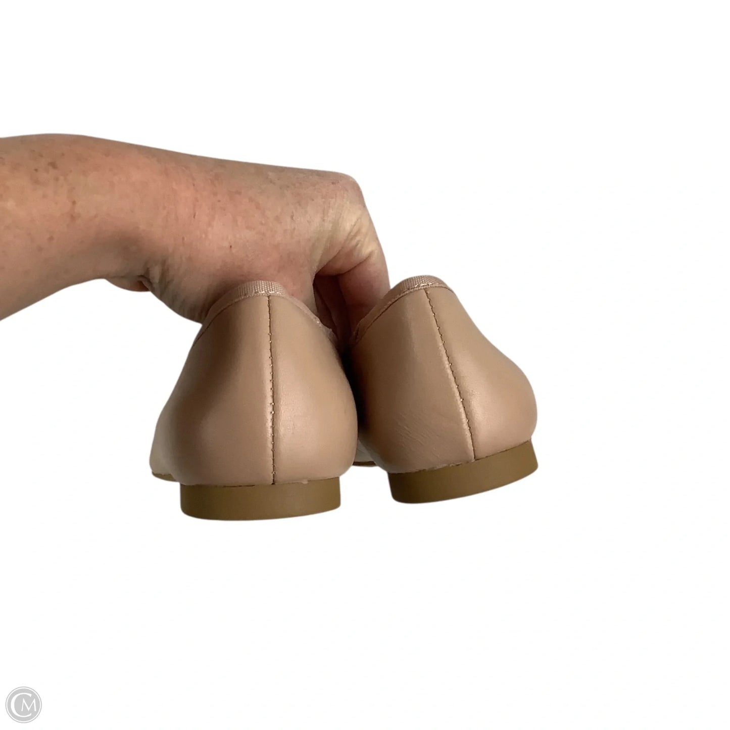 Shoes Flats By Steve Madden In Pink, Size: 8