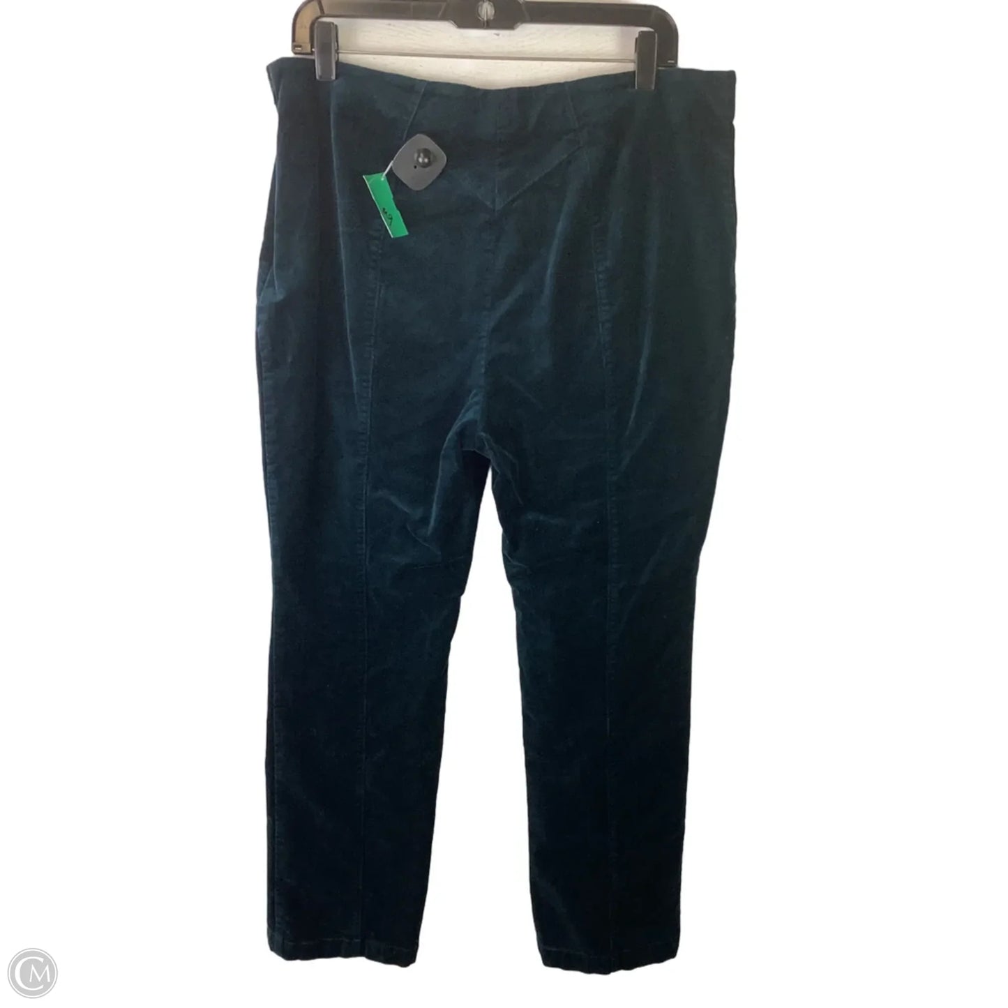 Pants Other By Maeve In Teal, Size: L