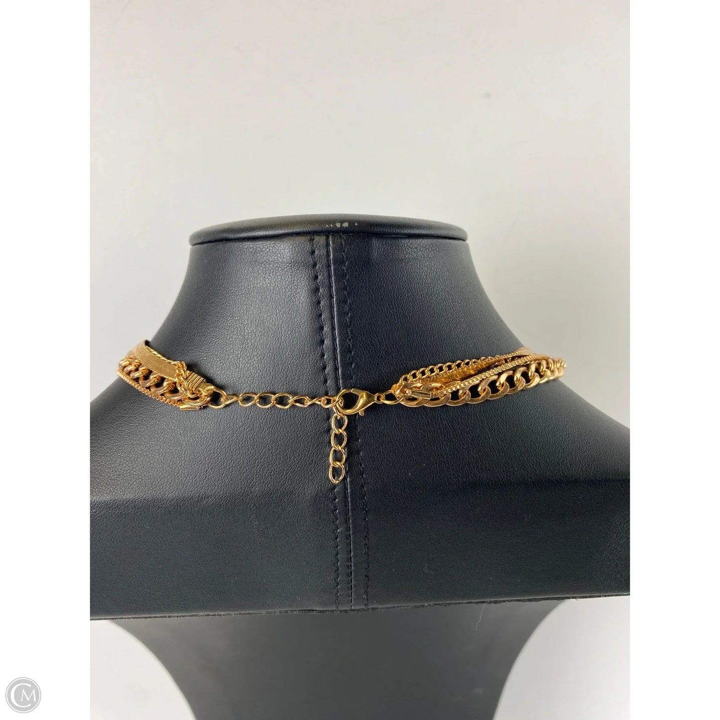 Necklace Layered By Clothes Mentor