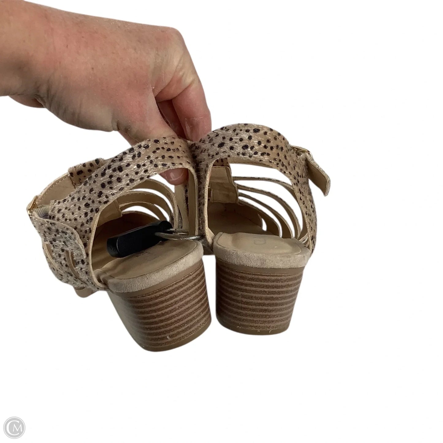 Shoes Heels Block By Cl By Chinese Laundry In Animal Print, Size: 7.5