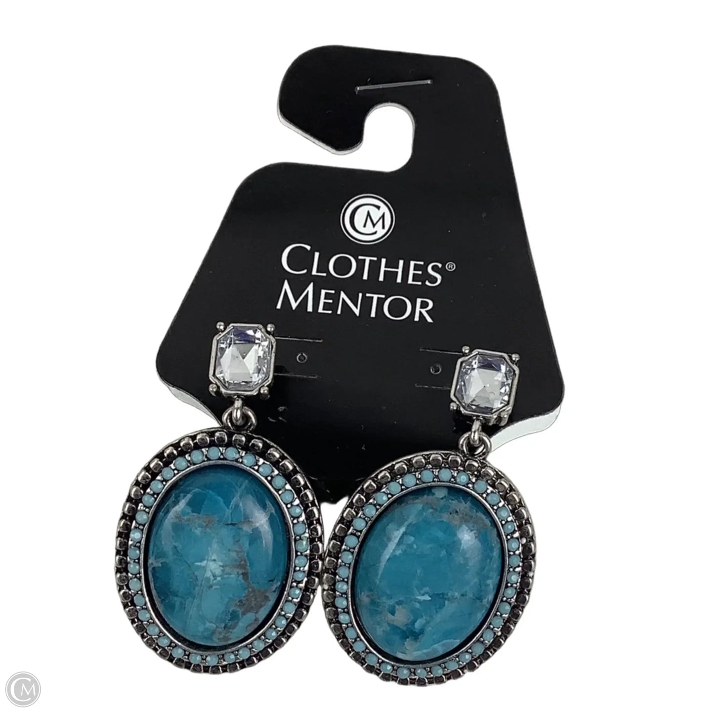 Earrings Dangle/drop By Chicos