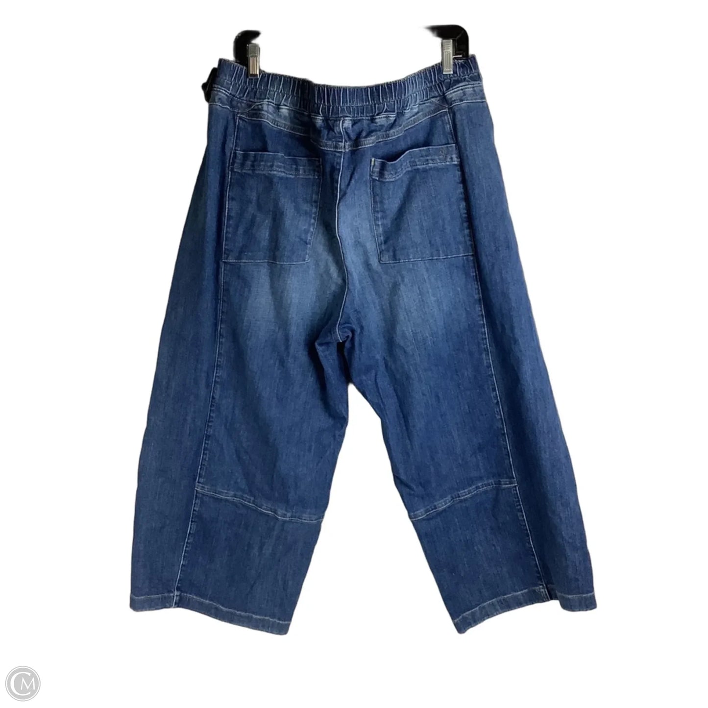 Jeans Cropped By Pilcro In Blue Denim, Size: 1x
