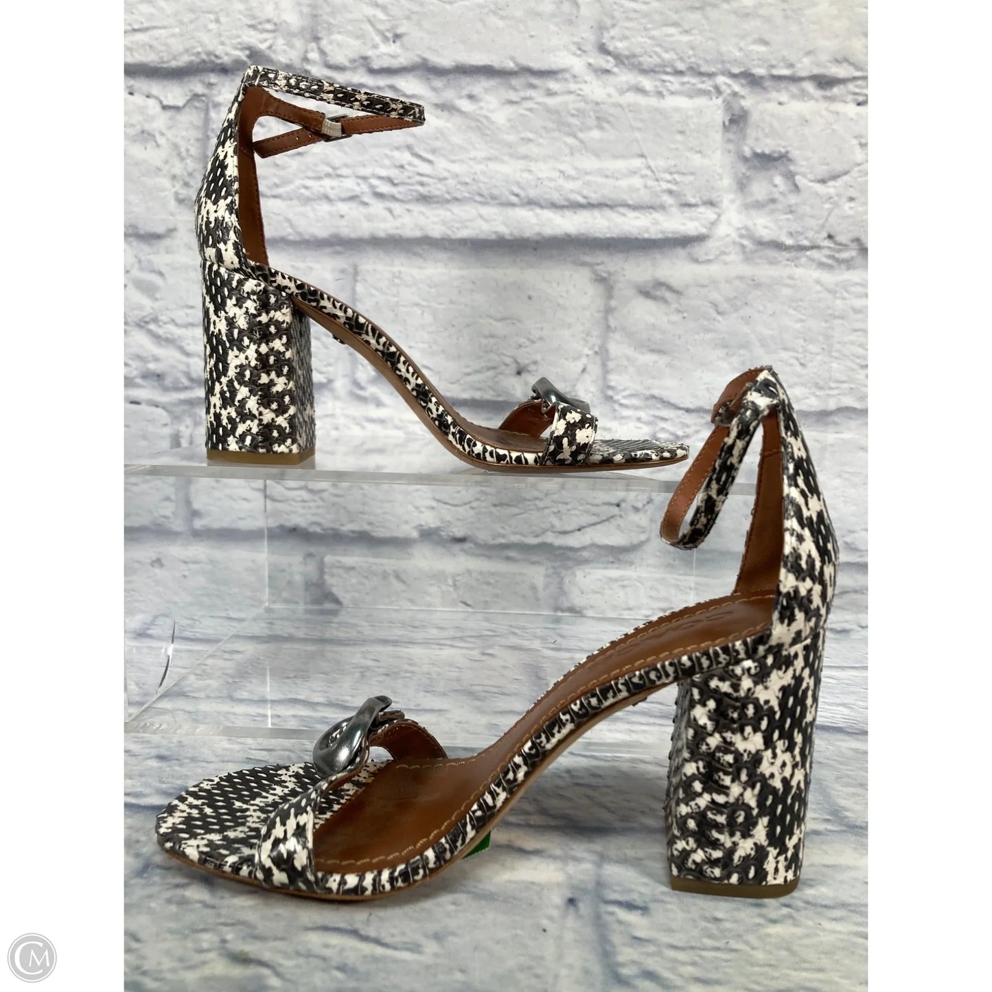 Sandals Designer By Coach In Snakeskin Print, Size: 8.5
