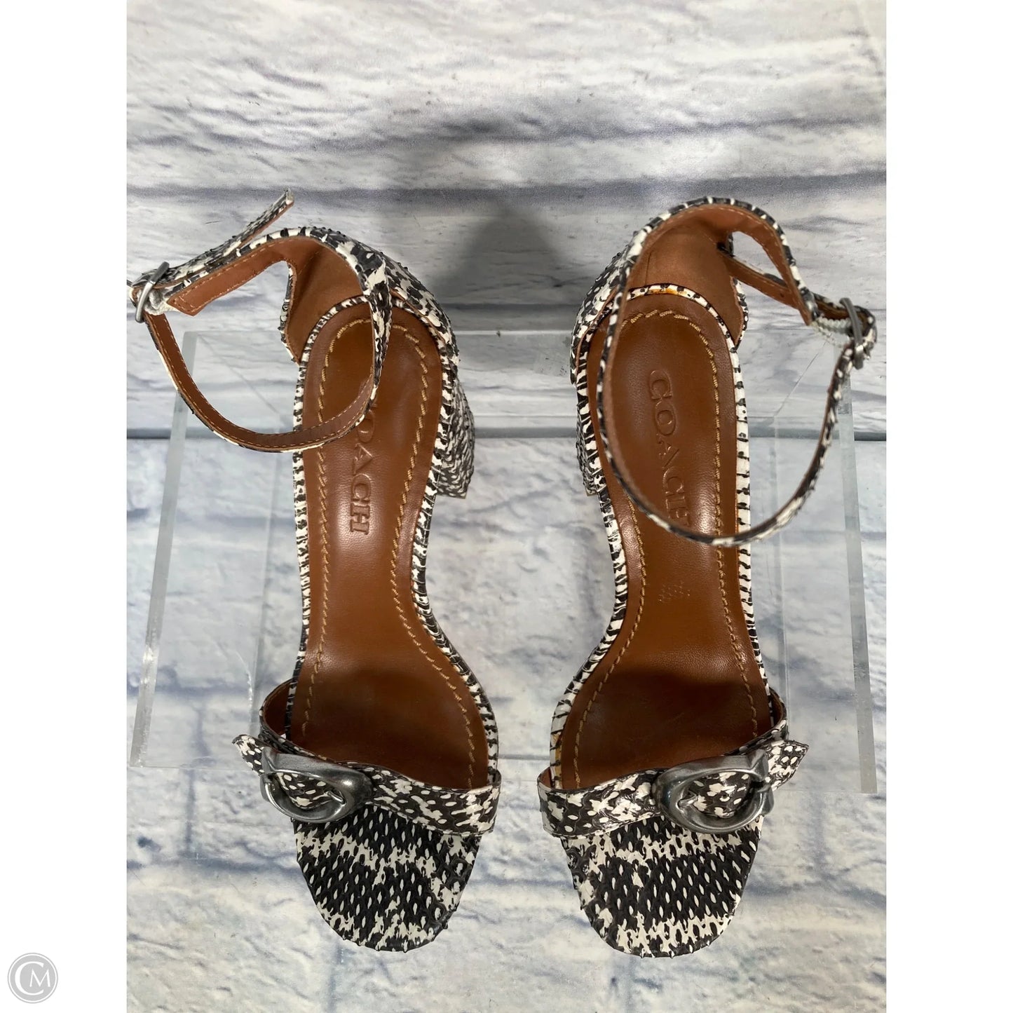 Sandals Designer By Coach In Snakeskin Print, Size: 8.5