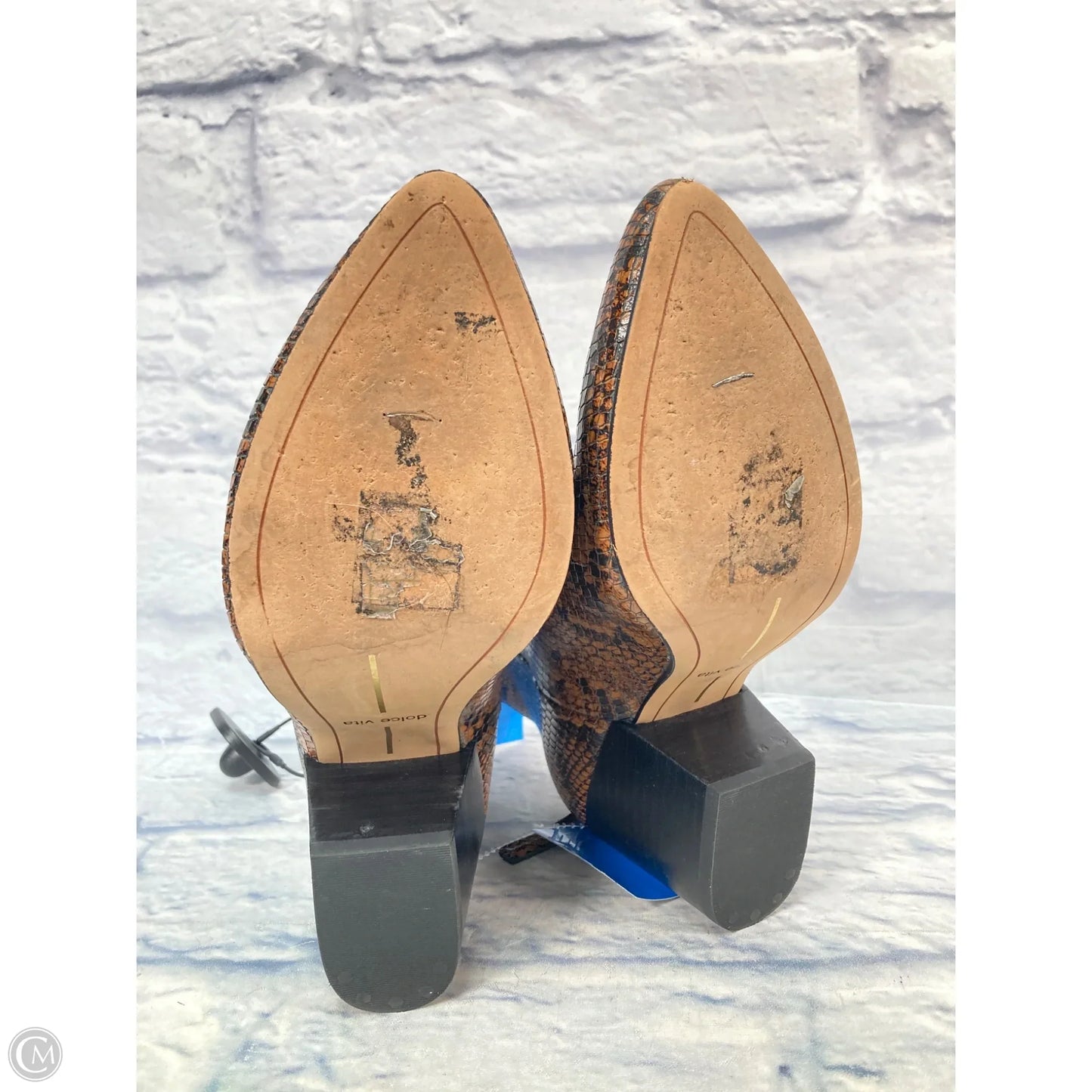 Boots Ankle Heels By Dolce Vita In Snakeskin Print, Size: 6.5