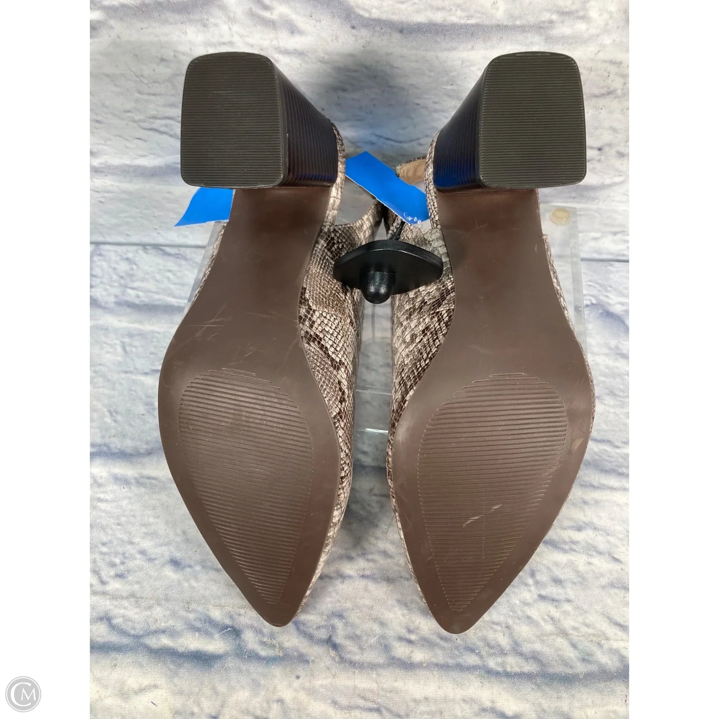 Shoes Heels Block By Ann Taylor In Snakeskin Print, Size: 8