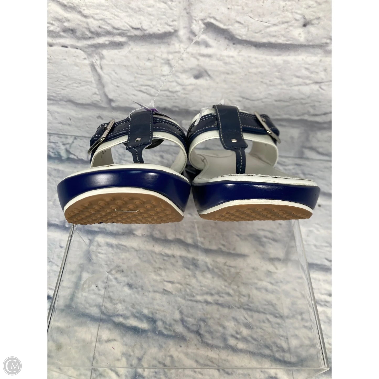 Sandals Heels Wedge By Cole-haan In Blue & White, Size: 7