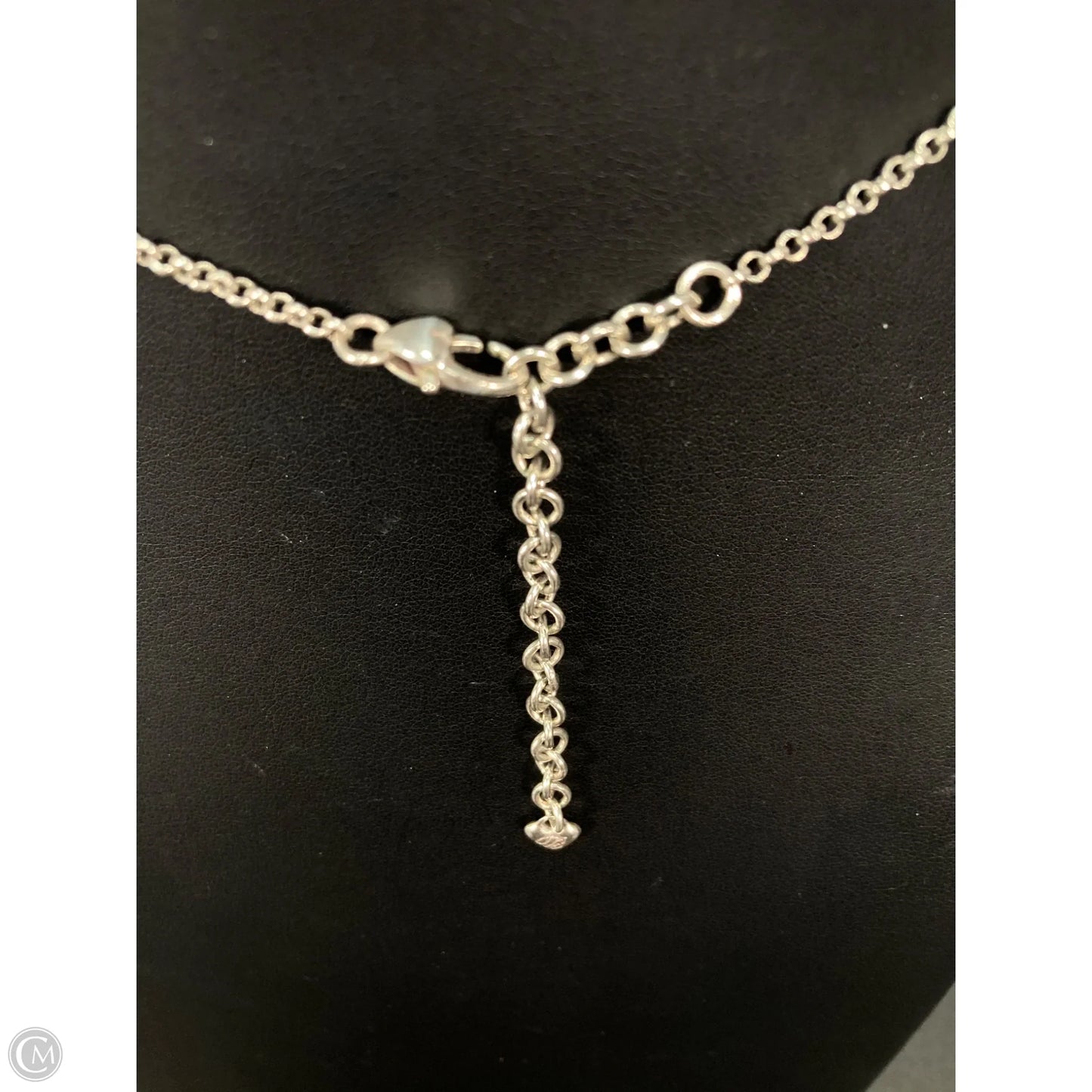 Necklace Chain By Brighton