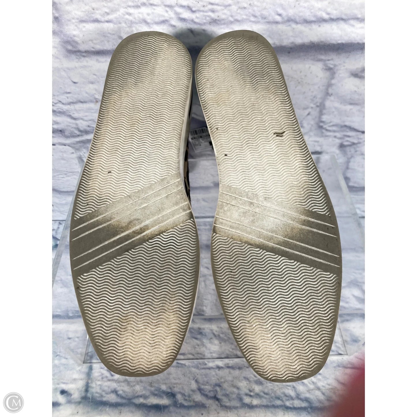 Shoes Sneakers By Linea Paolo In Animal Print, Size: 9