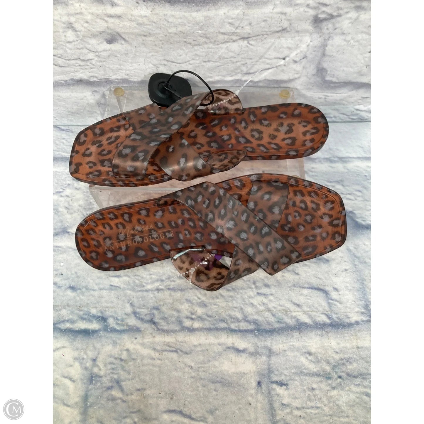 Sandals Flats By Matisse In Animal Print, Size: 8