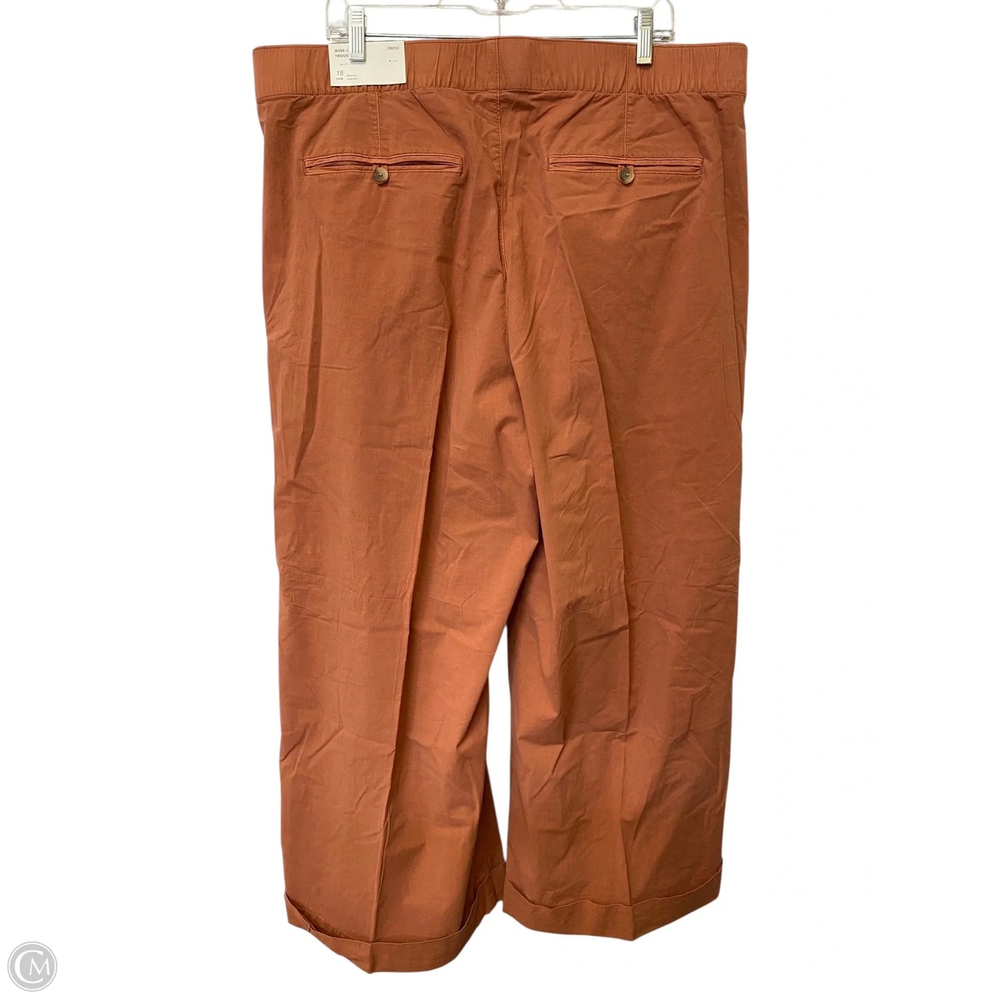Pants Chinos & Khakis By American Eagle In Brown, Size: 18