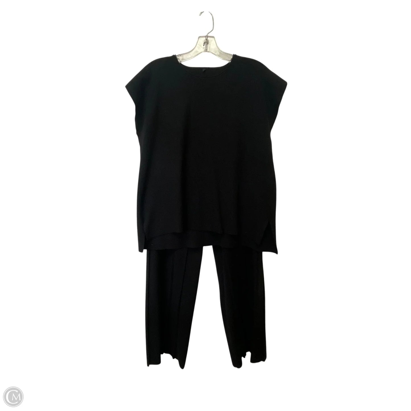 Pants Set 2pc By Clothes Mentor In Black, Size: L
