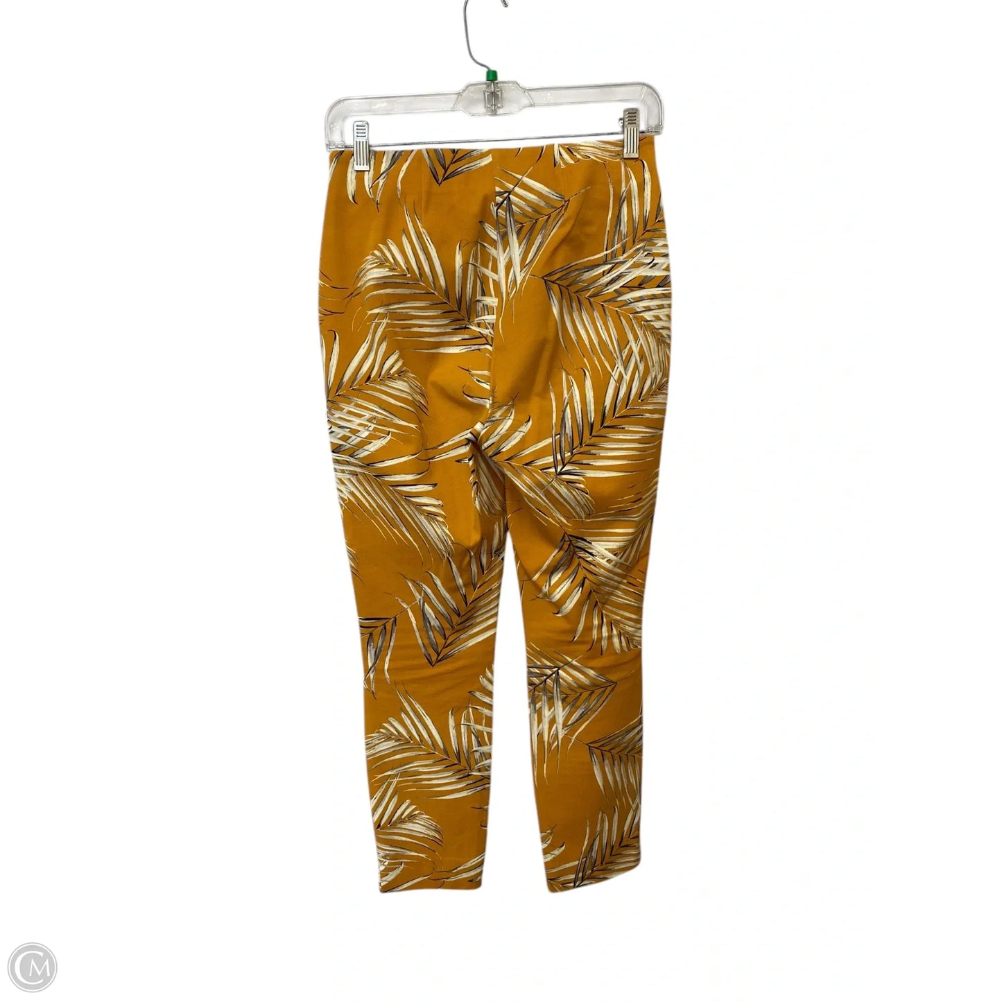 Pants Other By White House Black Market In Yellow, Size: 0