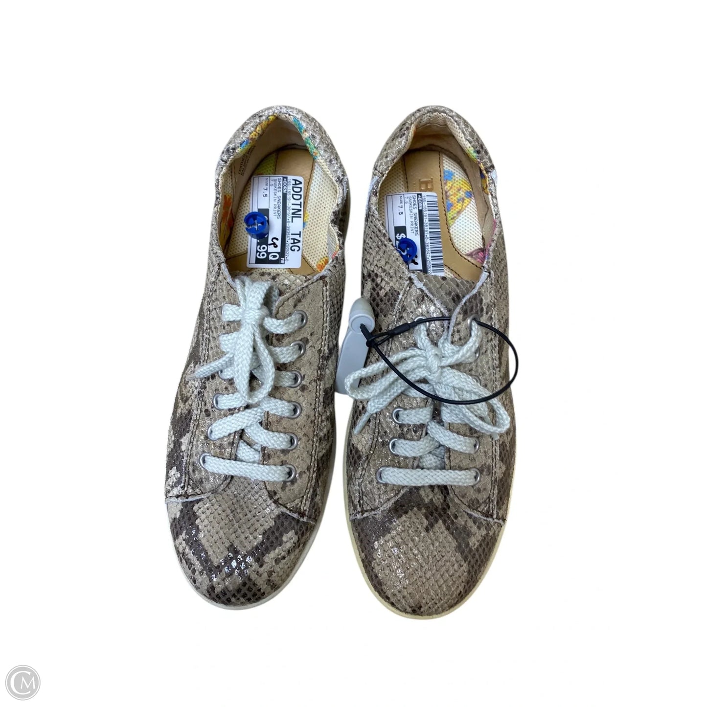 Shoes Sneakers By Born In Snakeskin Print, Size: 7.5