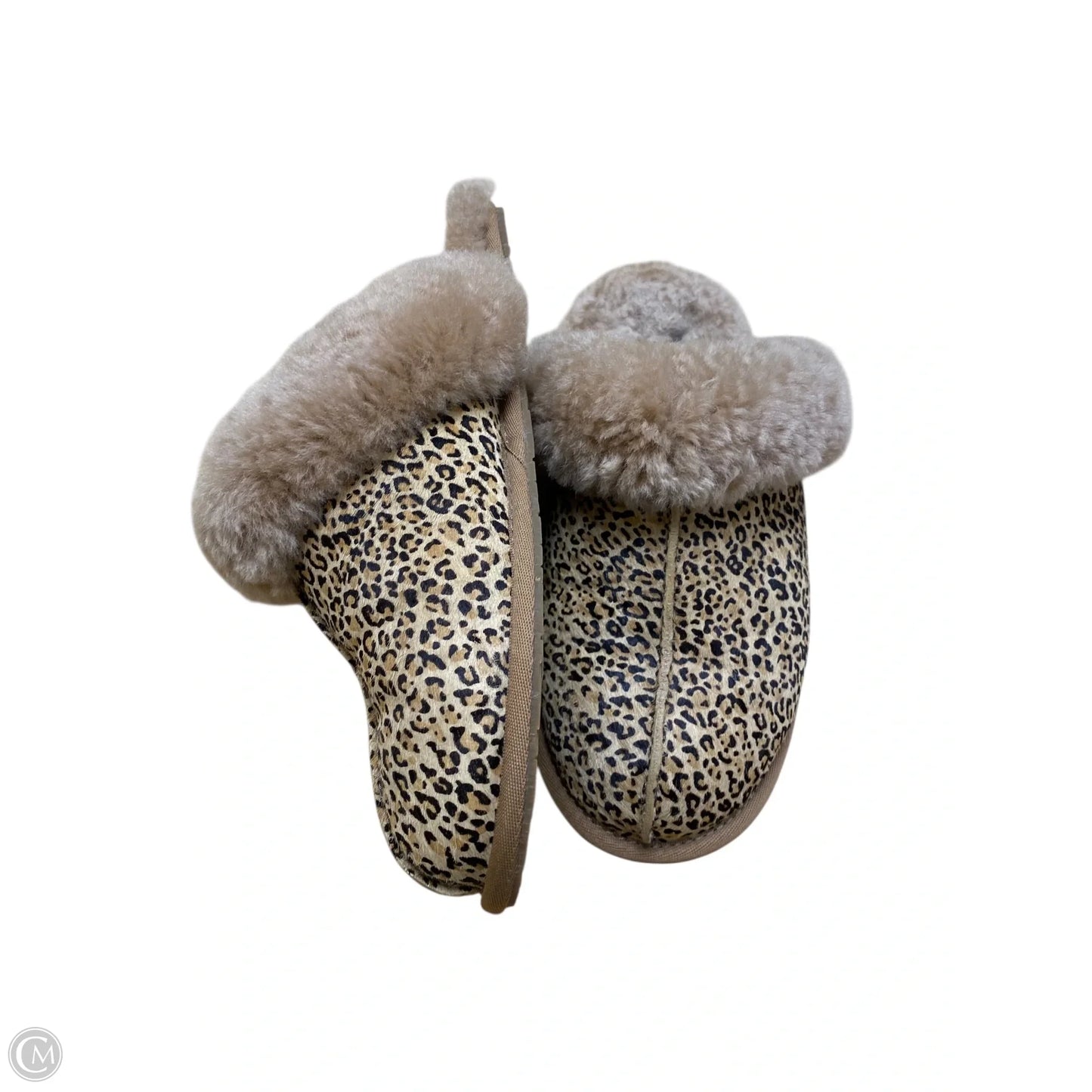 Slippers Designer By Ugg In Animal Print, Size: 6.5
