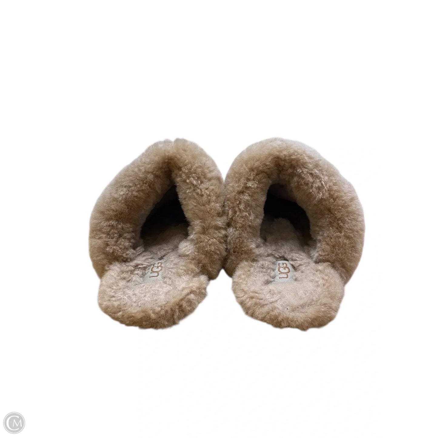 Slippers Designer By Ugg In Animal Print, Size: 6.5