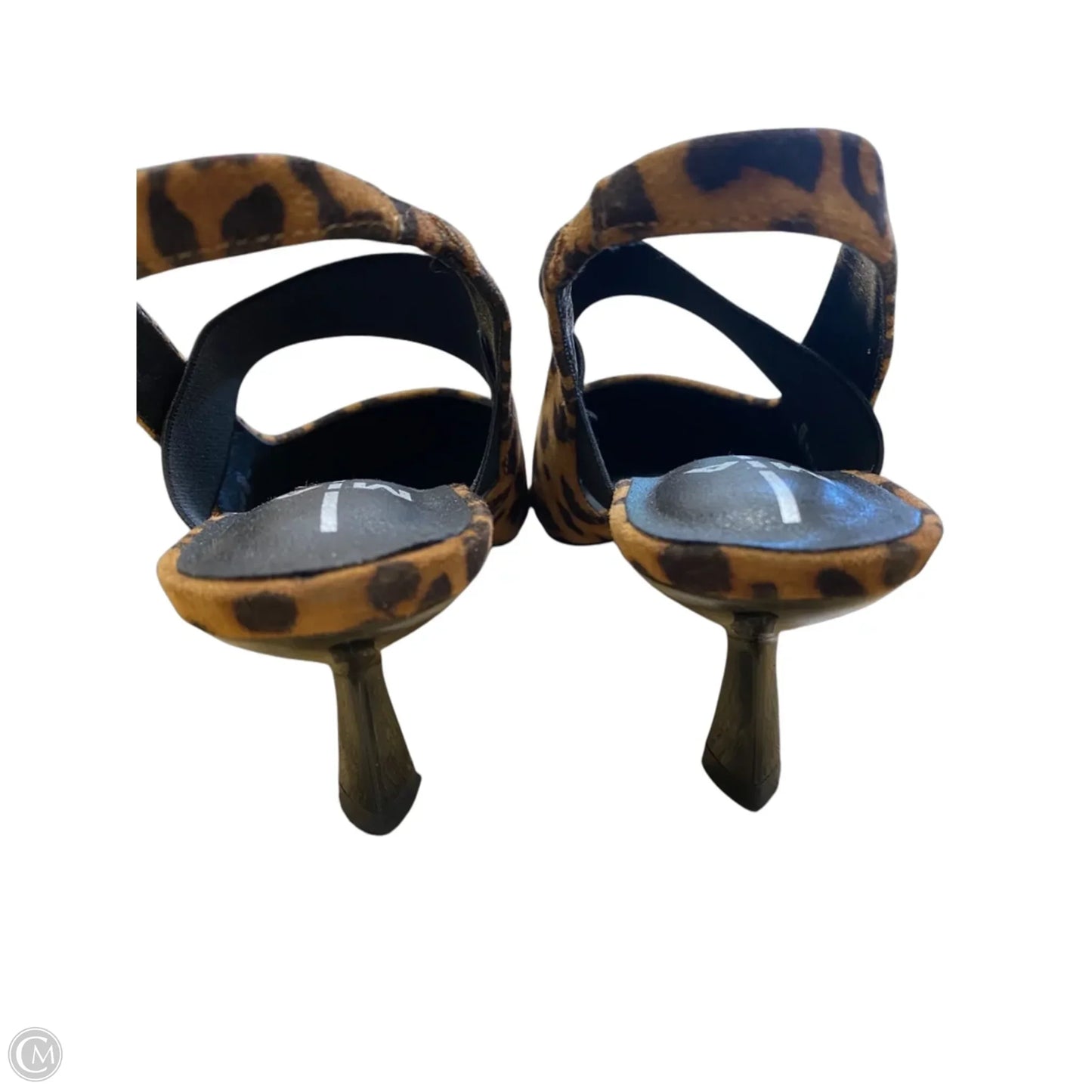 Shoes Heels Kitten By Mia In Animal Print, Size: 6.5