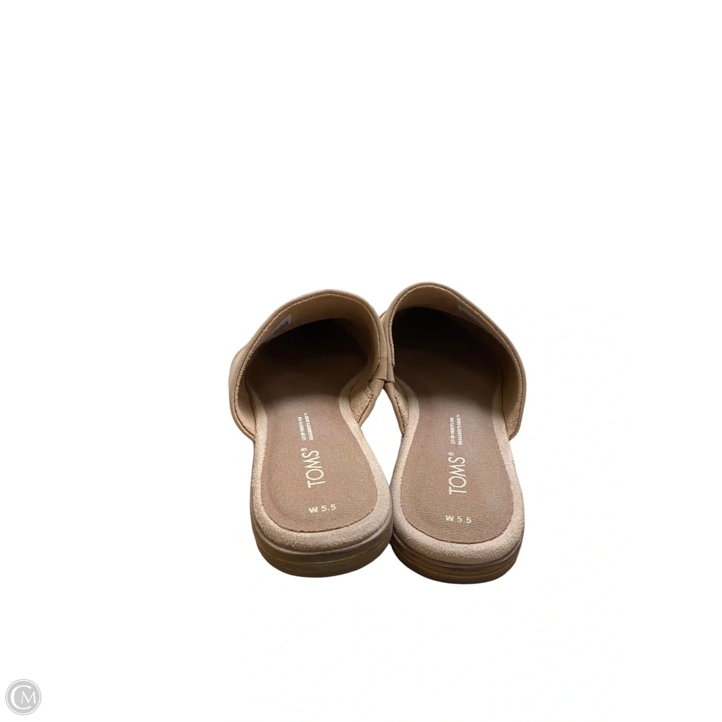 Shoes Flats By Toms In Tan, Size: 5.5