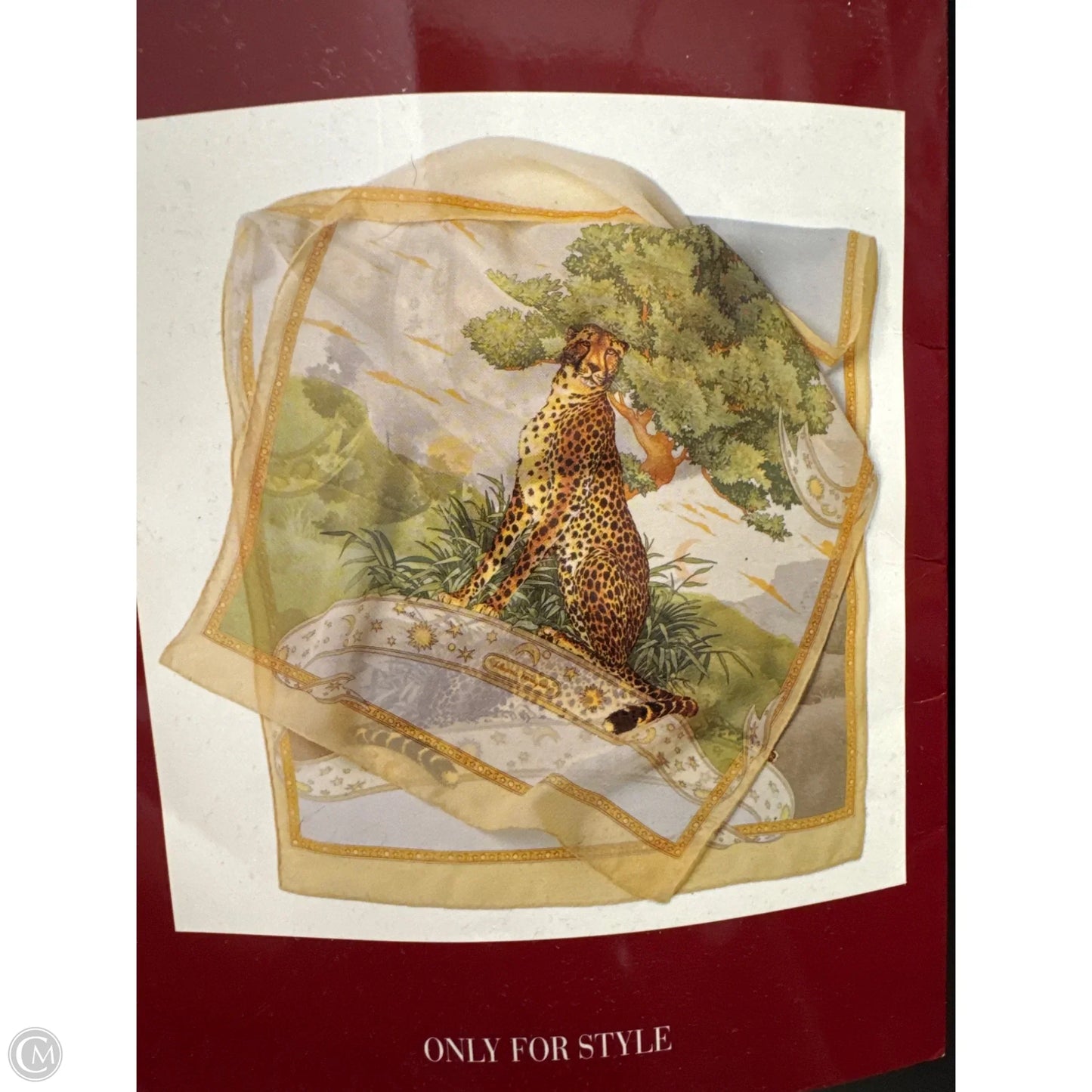 Scarf Luxury Designer By Ferragamo