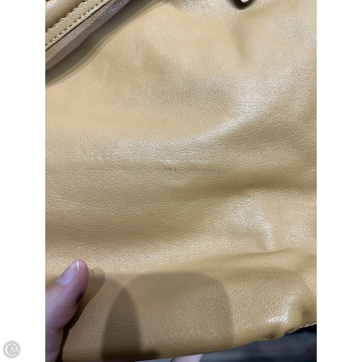 Crossbody Designer By Coach, Size: Small