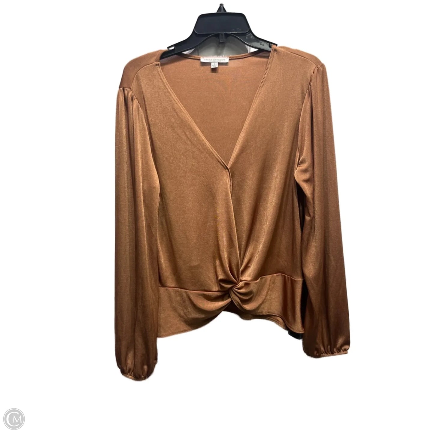 Top Long Sleeve By Green Envelope In Tan, Size: L