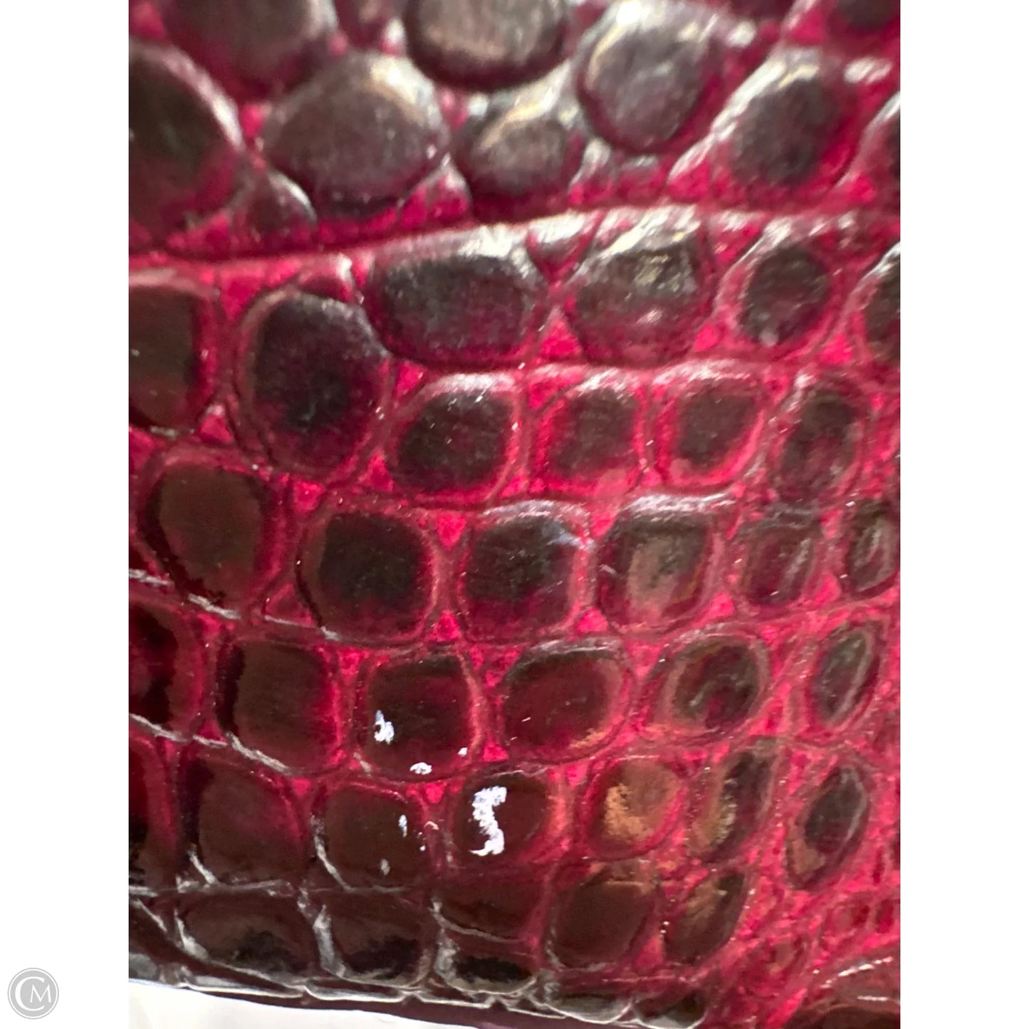 Handbag Designer By Brahmin, Size: Medium