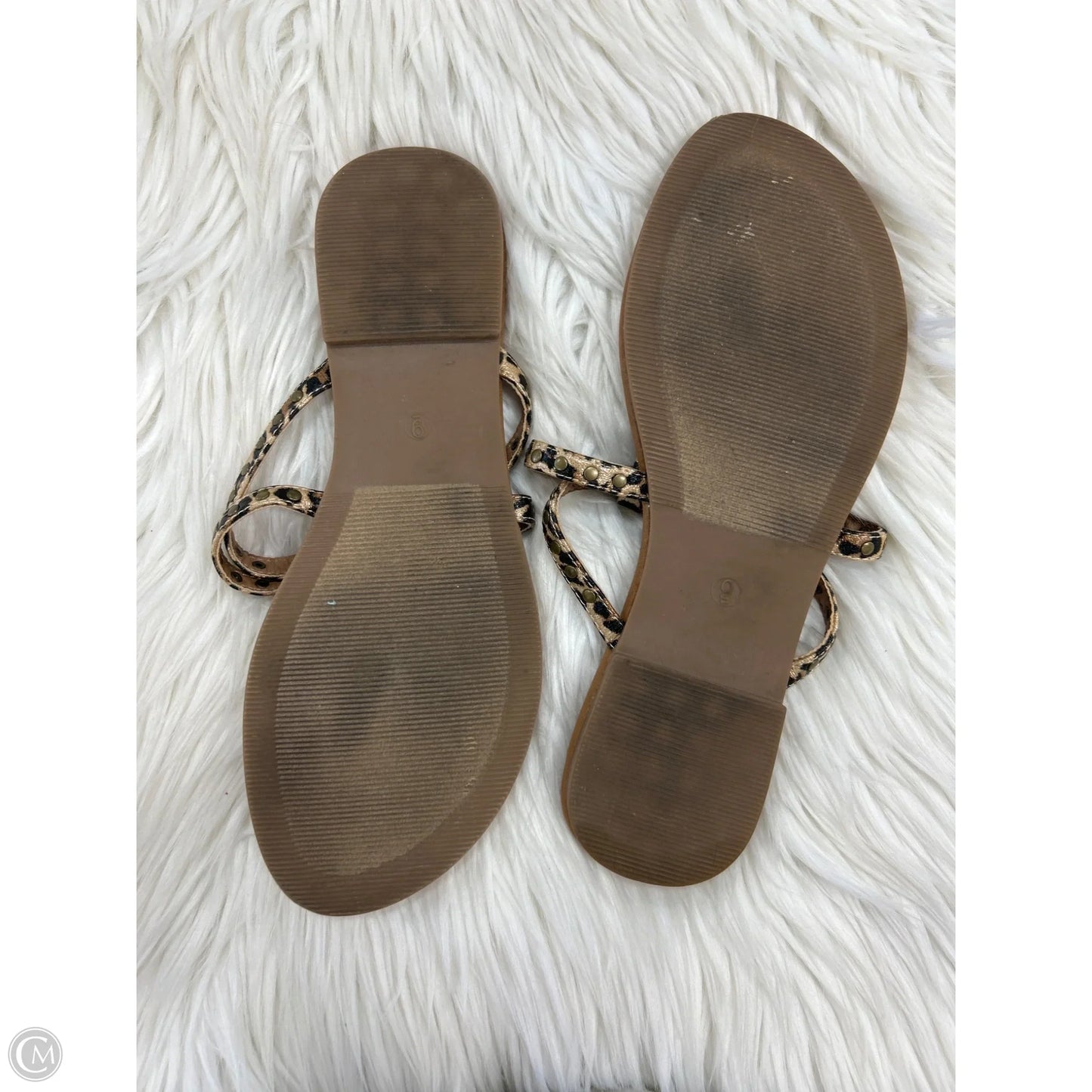 Sandals Flip Flops By Corkys In Animal Print, Size: 9