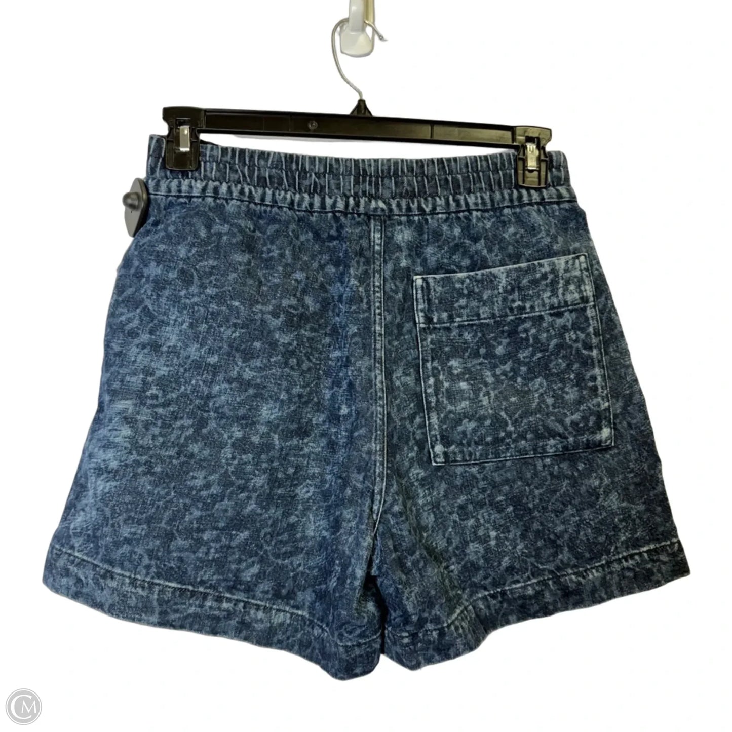 Shorts By Everlane In Blue, Size: S